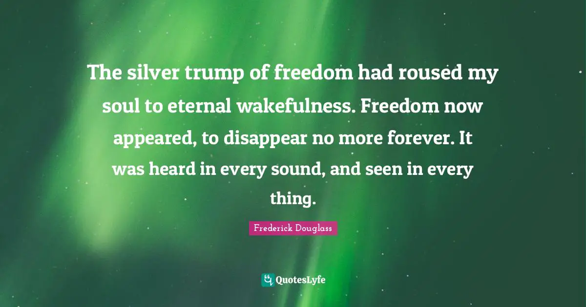 The silver trump of freedom had roused my soul to eternal wakefulness. Freedom now appeared, to disappear no more forever. It was heard in every sound, and seen in every thing.
