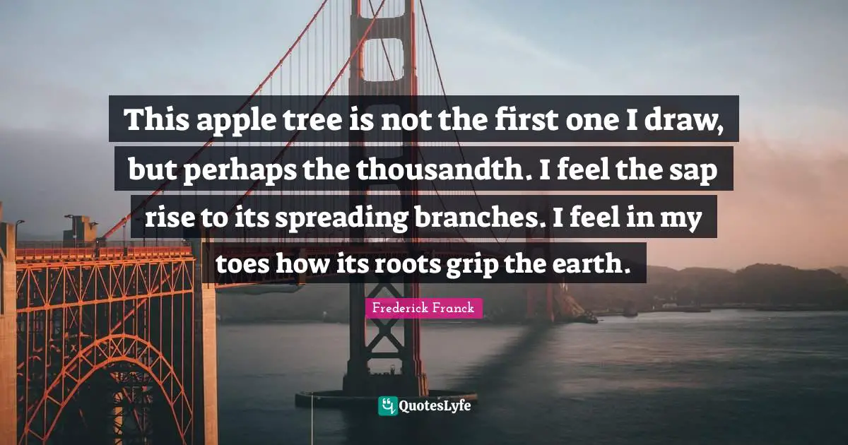 This apple tree is not the first one I draw, but perhaps the thousandth. I feel the sap rise to its spreading branches. I feel in my toes how its roots grip the earth.