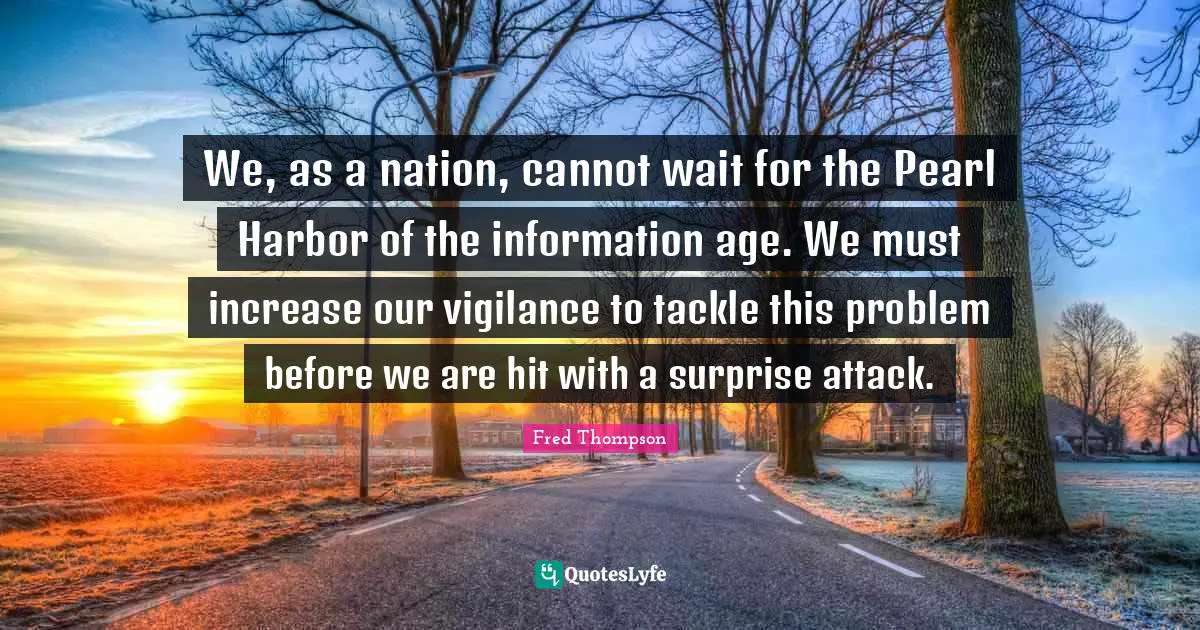 We, as a nation, cannot wait for the Pearl Harbor of the information age. We must increase our vigilance to tackle this problem before we are hit with a surprise attack.