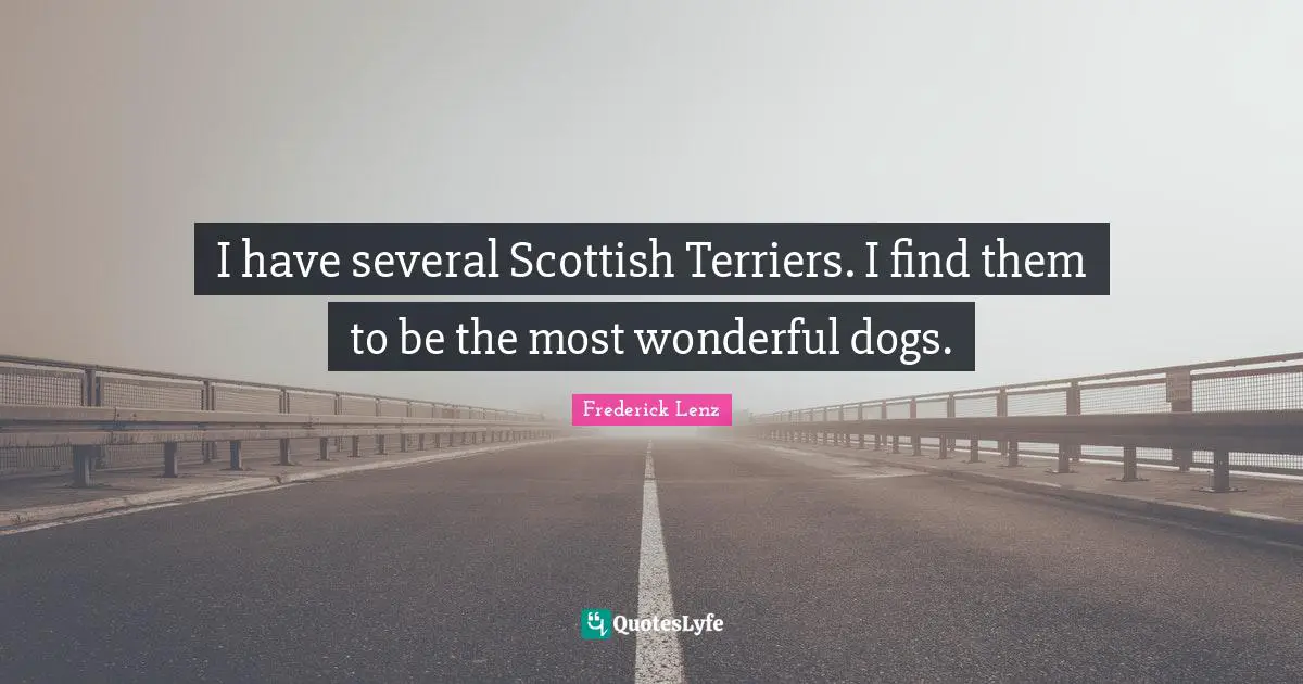 I have several Scottish Terriers. I find them to be the most wonderful dogs.