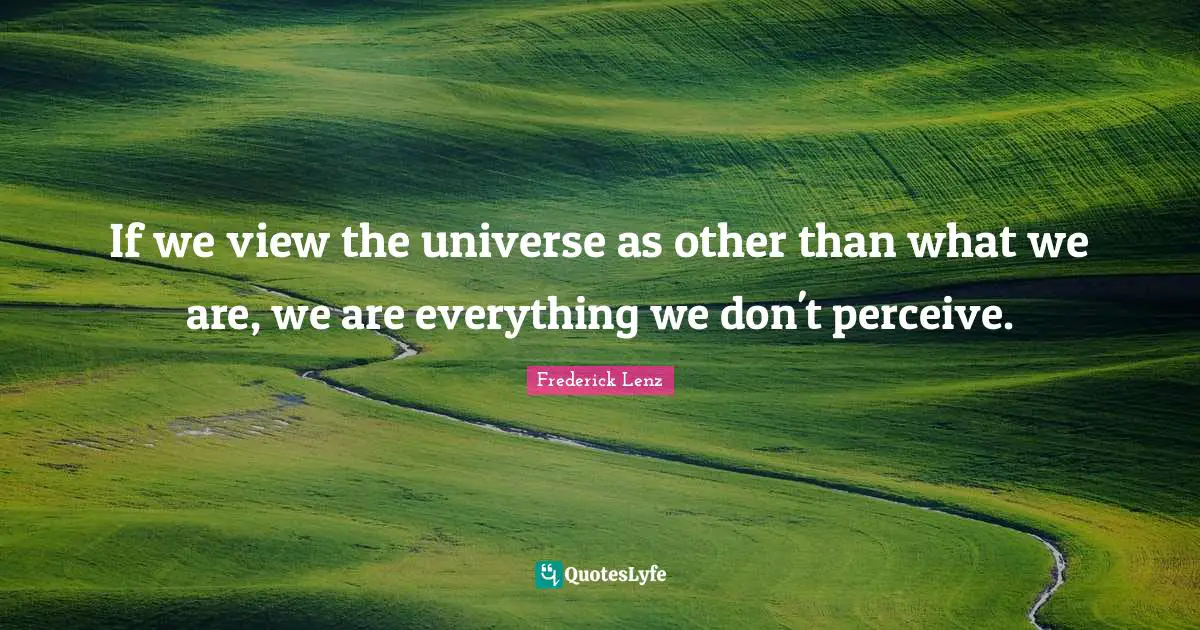If we view the universe as other than what we are, we are everything we don't perceive.