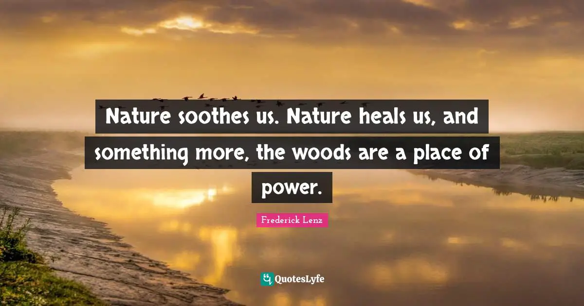 Nature soothes us. Nature heals us, and something more, the woods are a place of power.