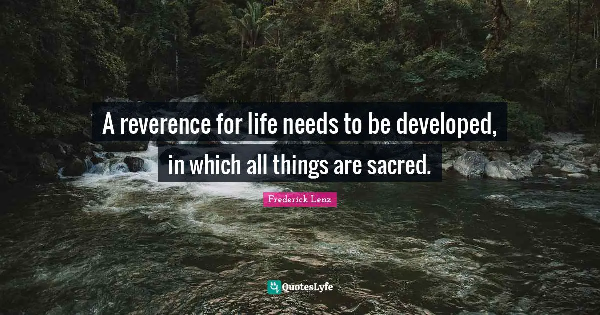 A reverence for life needs to be developed, in which all things are sacred.