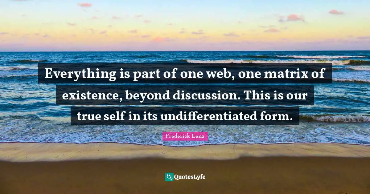 Everything is part of one web, one matrix of existence, beyond discussion. This is our true self in its undifferentiated form.