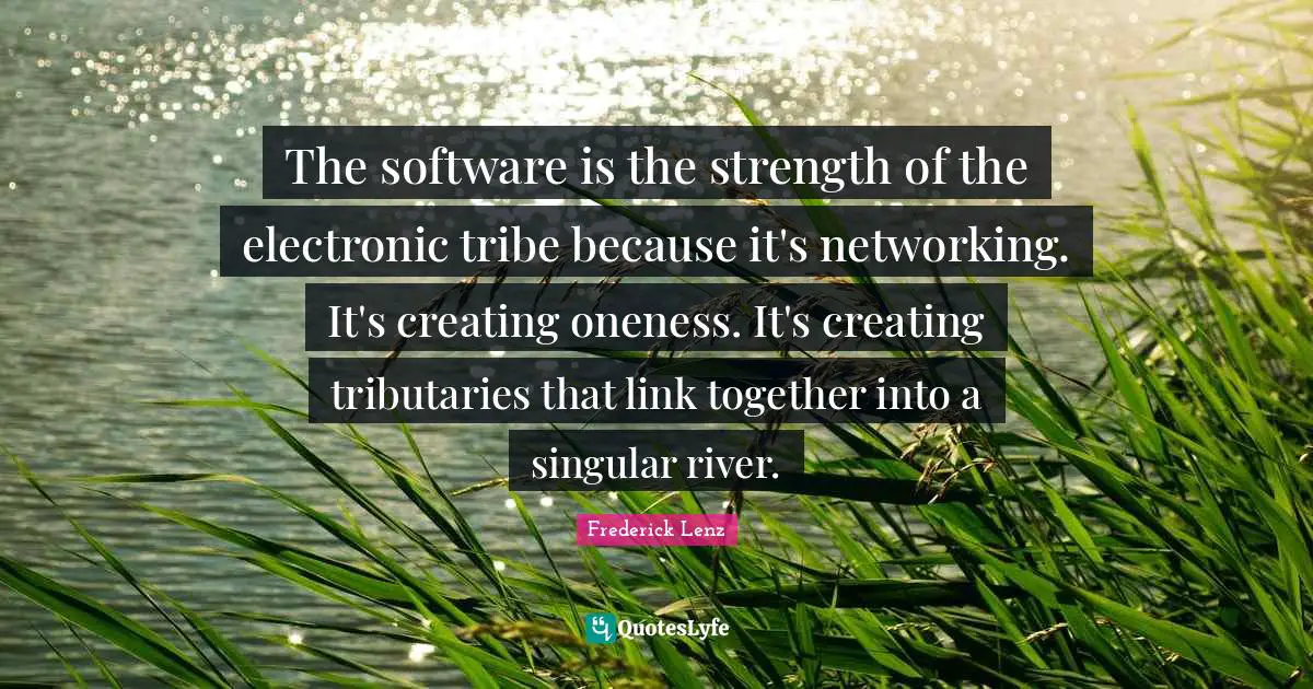 The software is the strength of the electronic tribe because it's networking. It's creating oneness. It's creating tributaries that link together into a singular river.