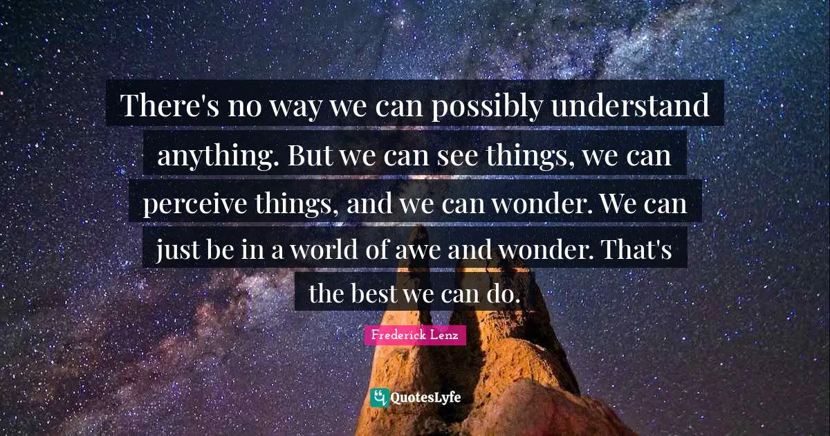 There's no way we can possibly understand anything. But we can see things, we can perceive things, and we can wonder. We can just be in a world of awe and wonder. That's the best we can do.