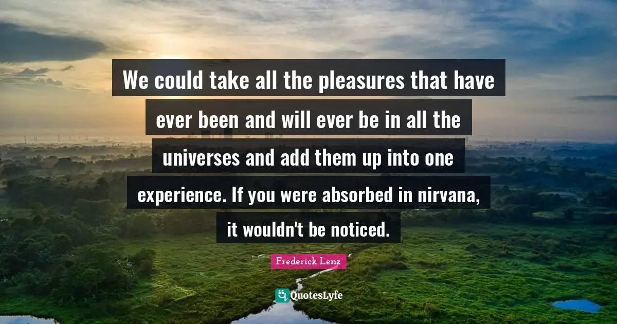 We could take all the pleasures that have ever been and will ever be in all the universes and add them up into one experience. If you were absorbed in nirvana, it wouldn't be noticed.