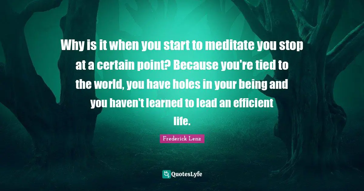 Why is it when you start to meditate you stop at a certain point? Because you're tied to the world, you have holes in your being and you haven't learned to lead an efficient life.