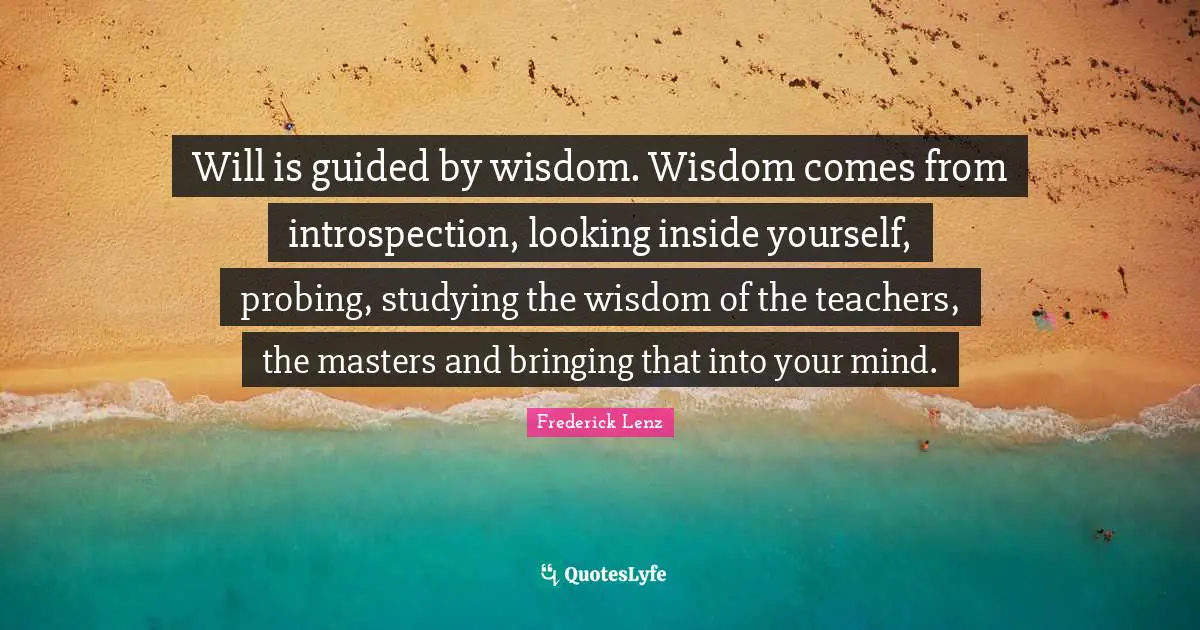Will is guided by wisdom. Wisdom comes from introspection, looking inside yourself, probing, studying the wisdom of the teachers, the masters and bringing that into your mind.