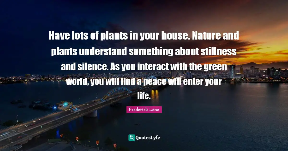 Have lots of plants in your house. Nature and plants understand something about stillness and silence. As you interact with the green world, you will find a peace will enter your life.