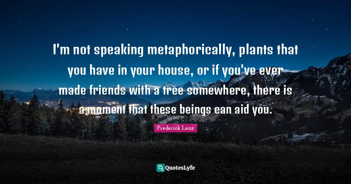 I'm not speaking metaphorically, plants that you have in your house, or if you've ever made friends with a tree somewhere, there is a moment that these beings can aid you.