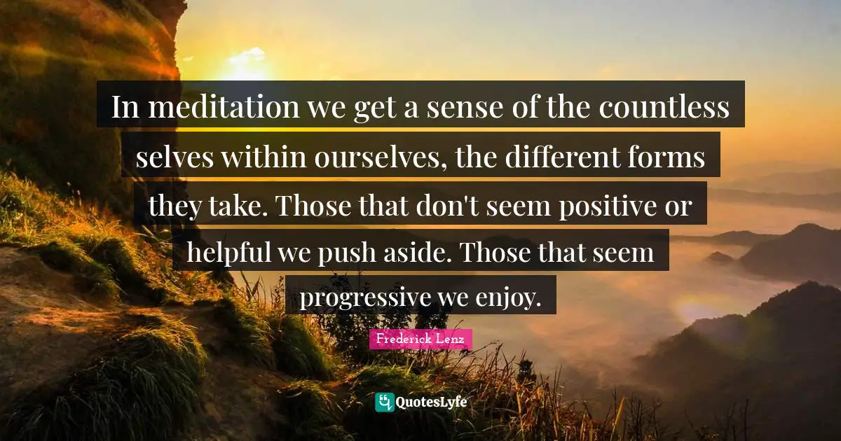 In meditation we get a sense of the countless selves within ourselves, the different forms they take. Those that don't seem positive or helpful we push aside. Those that seem progressive we enjoy.