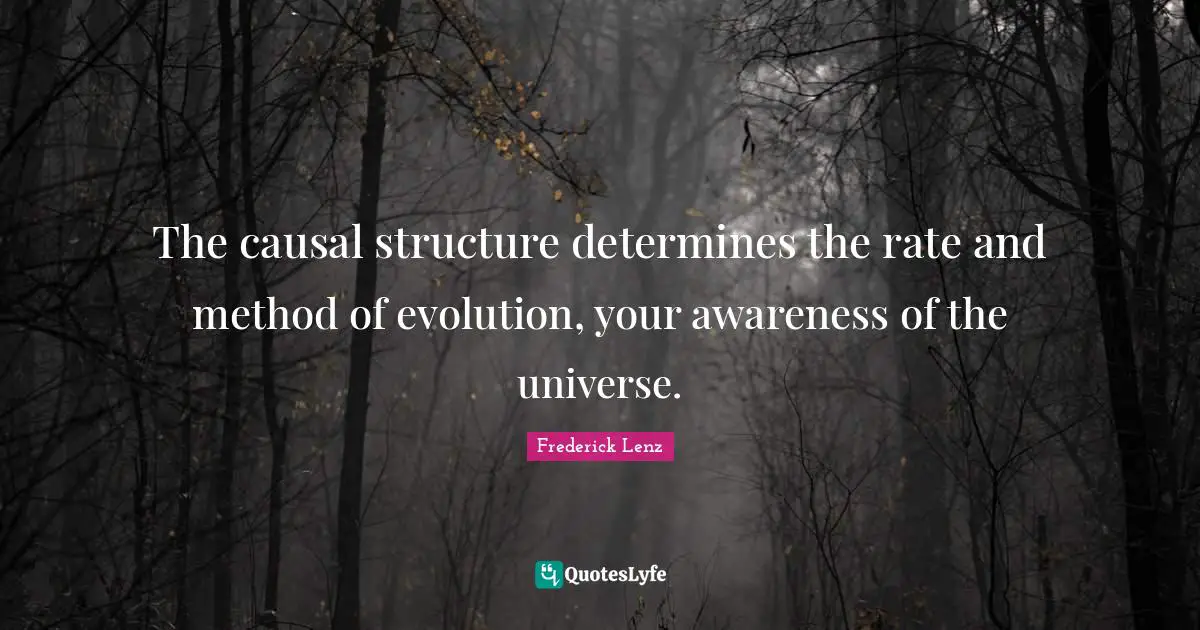The causal structure determines the rate and method of evolution, your awareness of the universe.