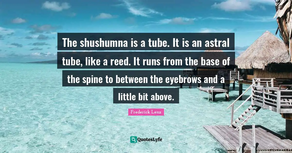 The shushumna is a tube. It is an astral tube, like a reed. It runs from the base of the spine to between the eyebrows and a little bit above.