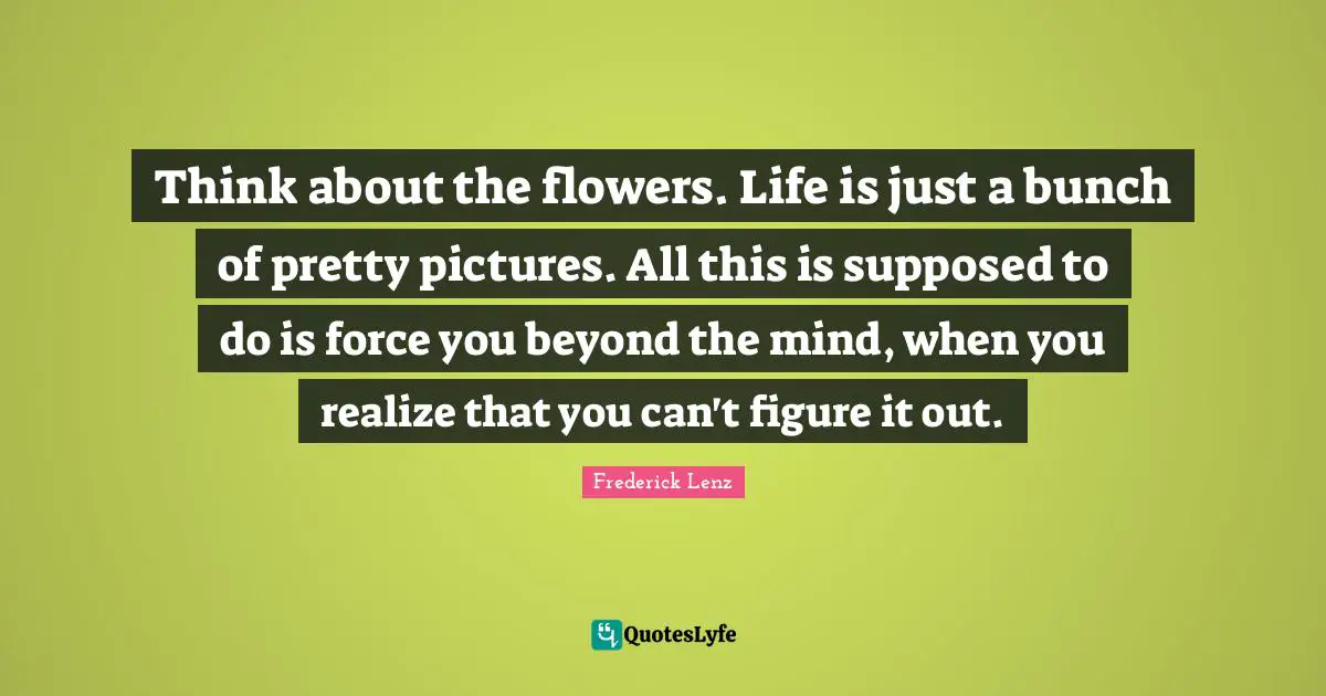 Think about the flowers. Life is just a bunch of pretty pictures. All this is supposed to do is force you beyond the mind, when you realize that you can't figure it out.