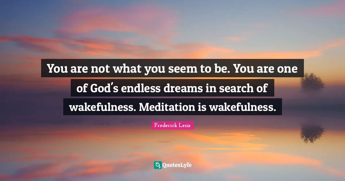 You are not what you seem to be. You are one of God's endless dreams in search of wakefulness. Meditation is wakefulness.