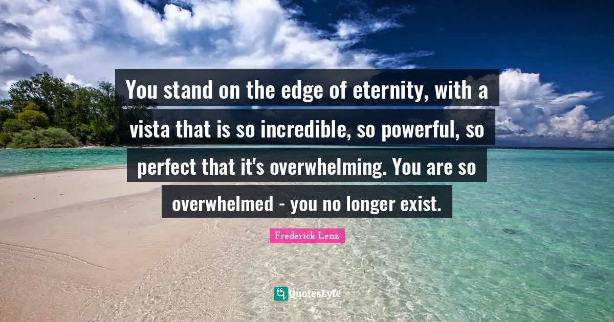 You stand on the edge of eternity, with a vista that is so incredible, so powerful, so perfect that it's overwhelming. You are so overwhelmed - you no longer exist.