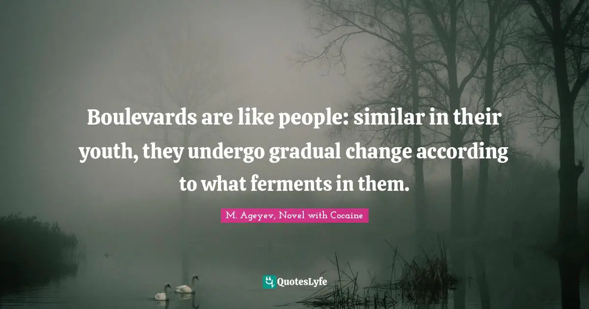 Boulevards are like people: similar in their youth, they undergo gradual change according to what ferments in them.