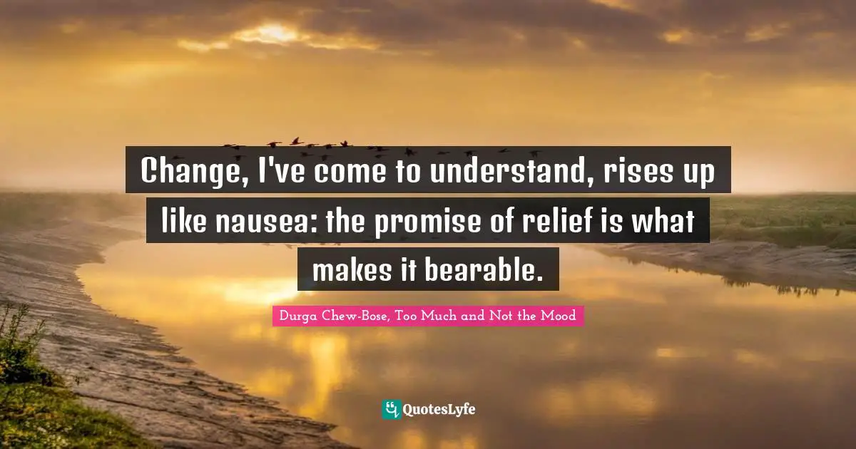 Change, I've come to understand, rises up like nausea: the promise of relief is what makes it bearable.