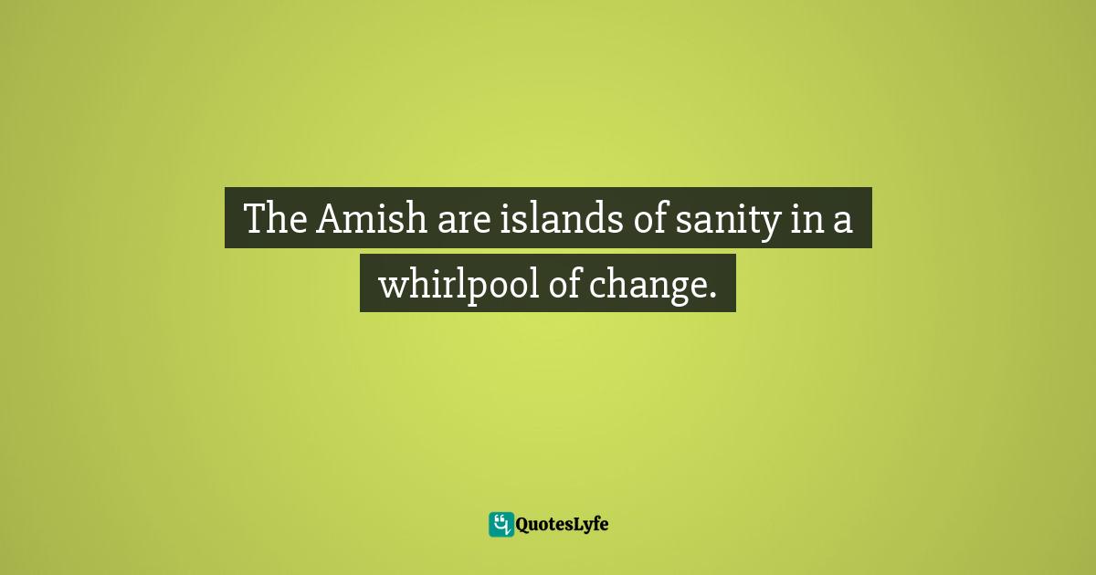 The Amish are islands of sanity in a whirlpool of change.