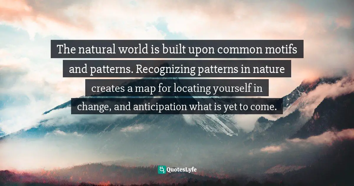 The Natural World Is Built Upon Common Motifs And Patterns Recognizin Quote By Sharon Weil Changeability How Artists Activists And Awakeners Navigate Change Quoteslyfe