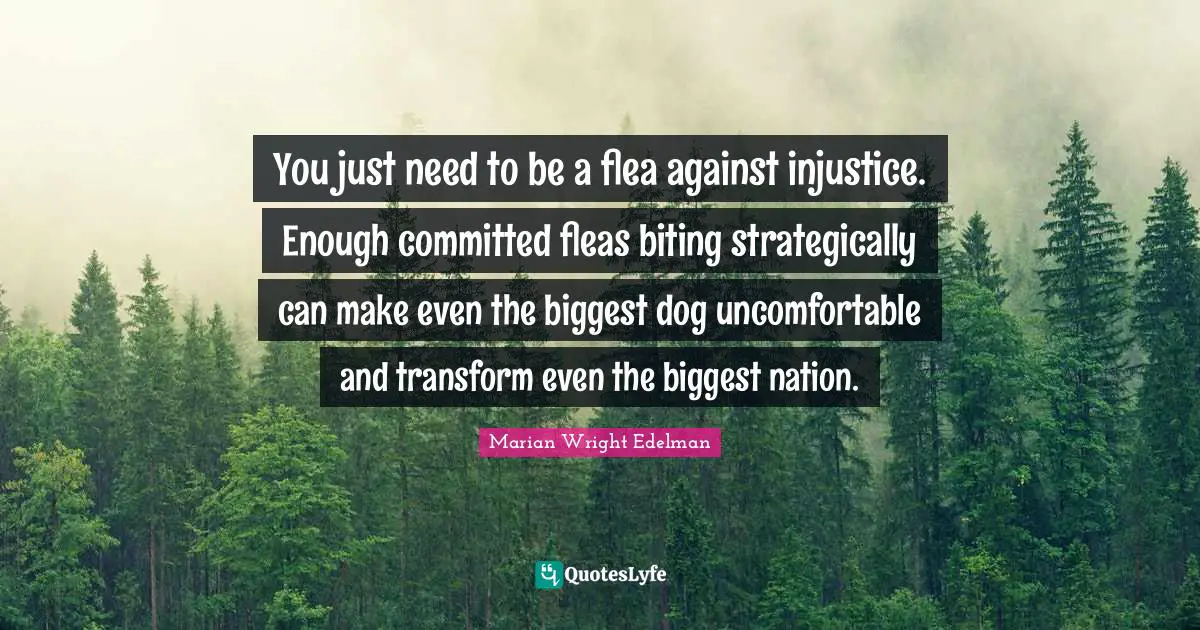 Injustice Quotes: "You just need to be a flea against injustice. Enough committed fleas biting strategically can make even the biggest dog uncomfortable and transform even the biggest nation."