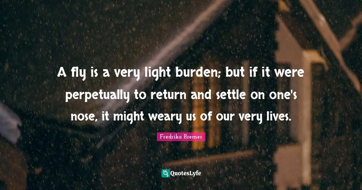 A fly is a very light burden; but if it were perpetually to return and settle on one's nose, it might weary us of our very lives.