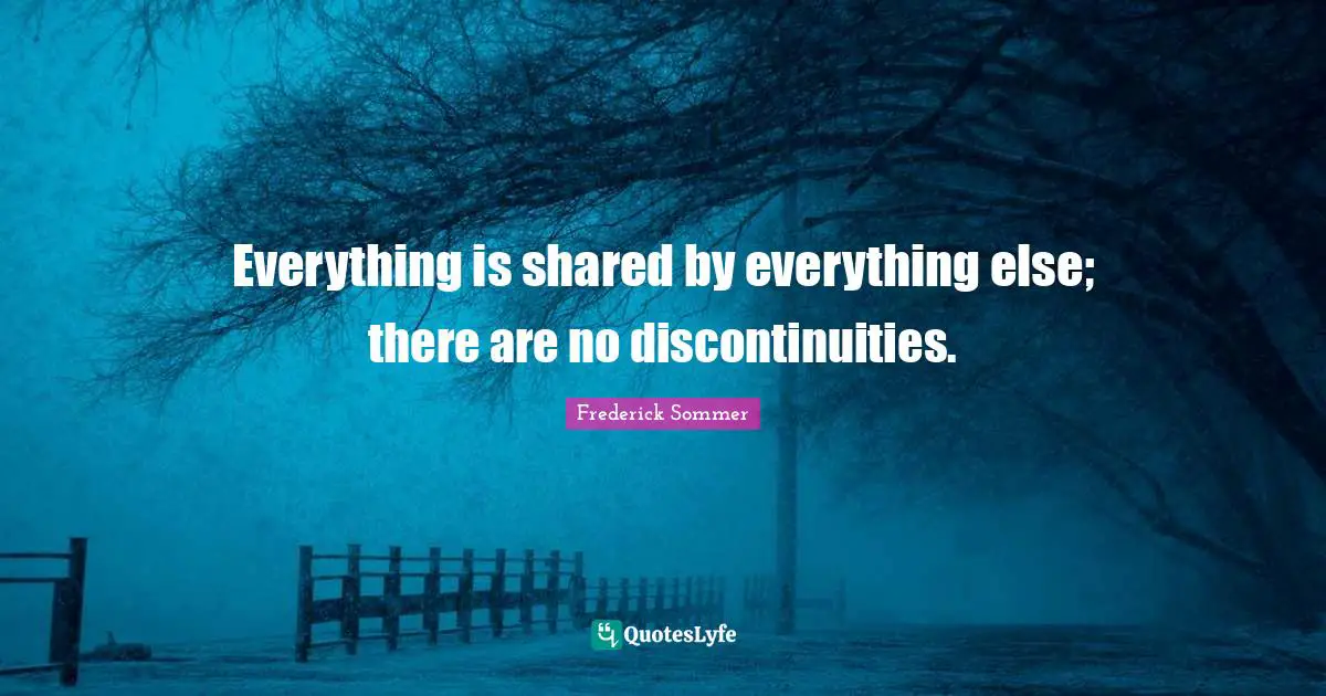 Everything is shared by everything else; there are no discontinuities.
