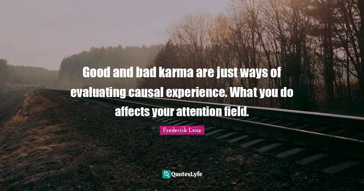 Good and bad karma are just ways of evaluating causal experience. What you do affects your attention field.