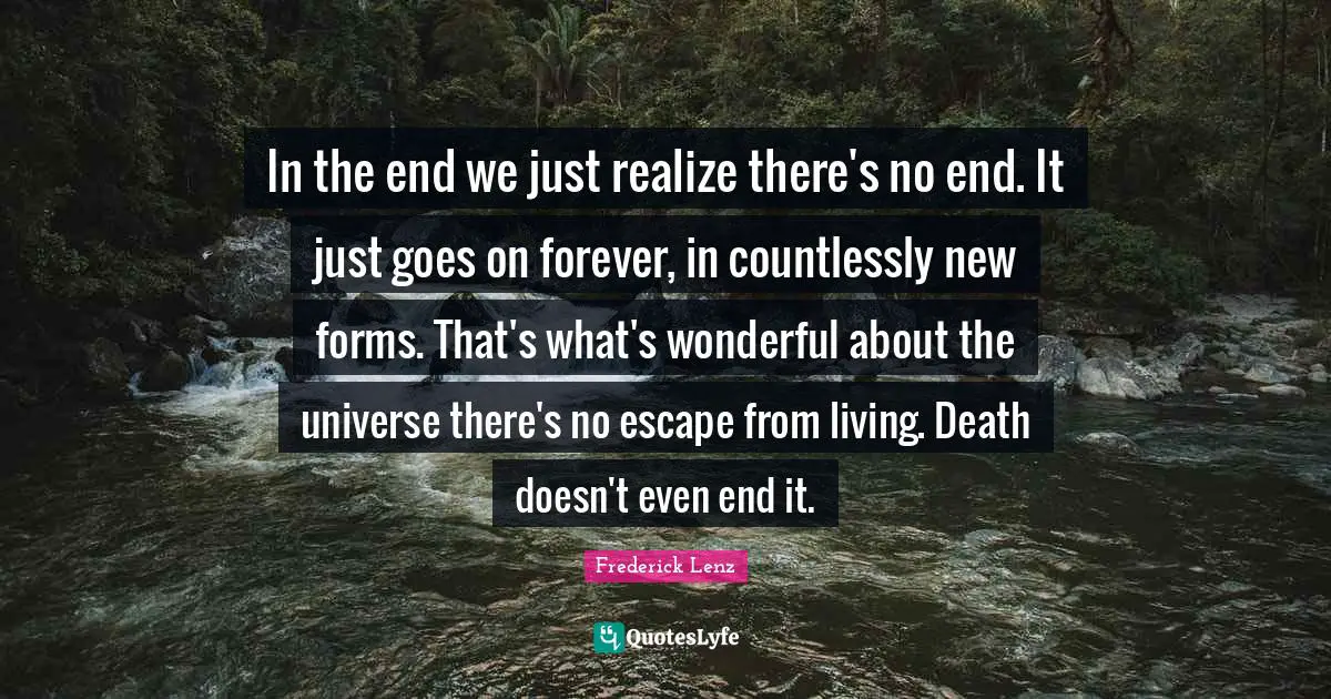 In the end we just realize there's no end. It just goes on forever, in countlessly new forms. That's what's wonderful about the universe there's no escape from living. Death doesn't even end it.