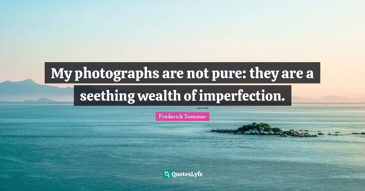 My photographs are not pure: they are a seething wealth of imperfection.