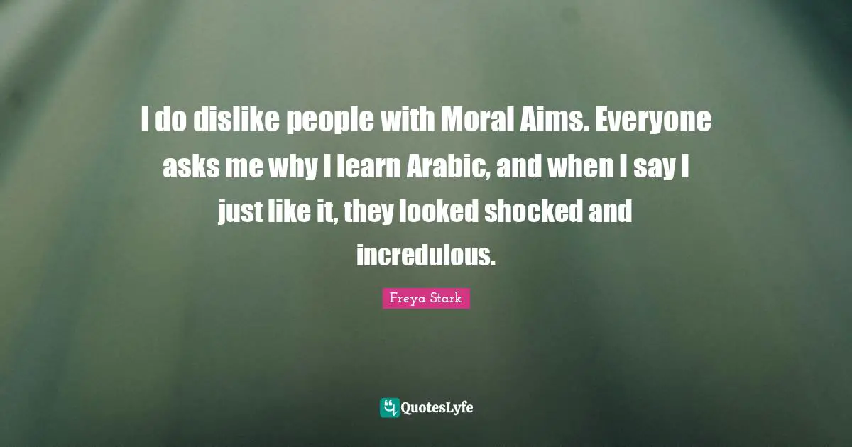 I do dislike people with Moral Aims. Everyone asks me why I learn Arabic, and when I say I just like it, they looked shocked and incredulous.