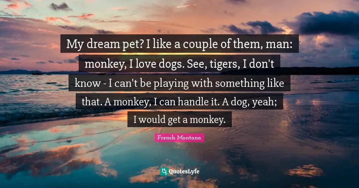 Tigers Quotes: "My dream pet? I like a couple of them, man: monkey, I love dogs. See, tigers, I don't know - I can't be playing with something like that. A monkey, I can handle it. A dog, yeah; I would get a monkey."