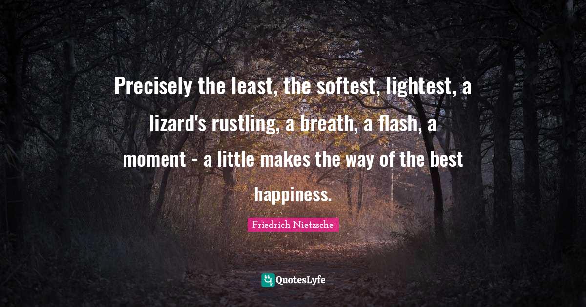 Precisely the least, the softest, lightest, a lizard's rustling, a breath, a flash, a moment - a little makes the way of the best happiness.