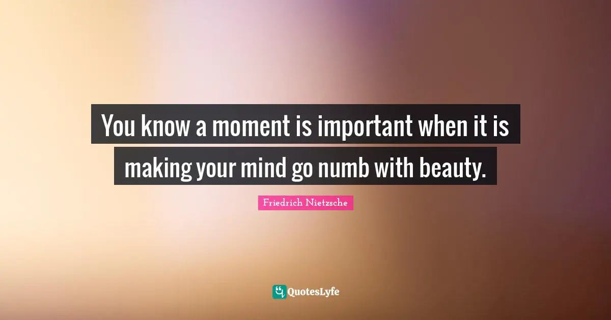 Moments Quotes: "You know a moment is important when it is making your mind go numb with beauty."