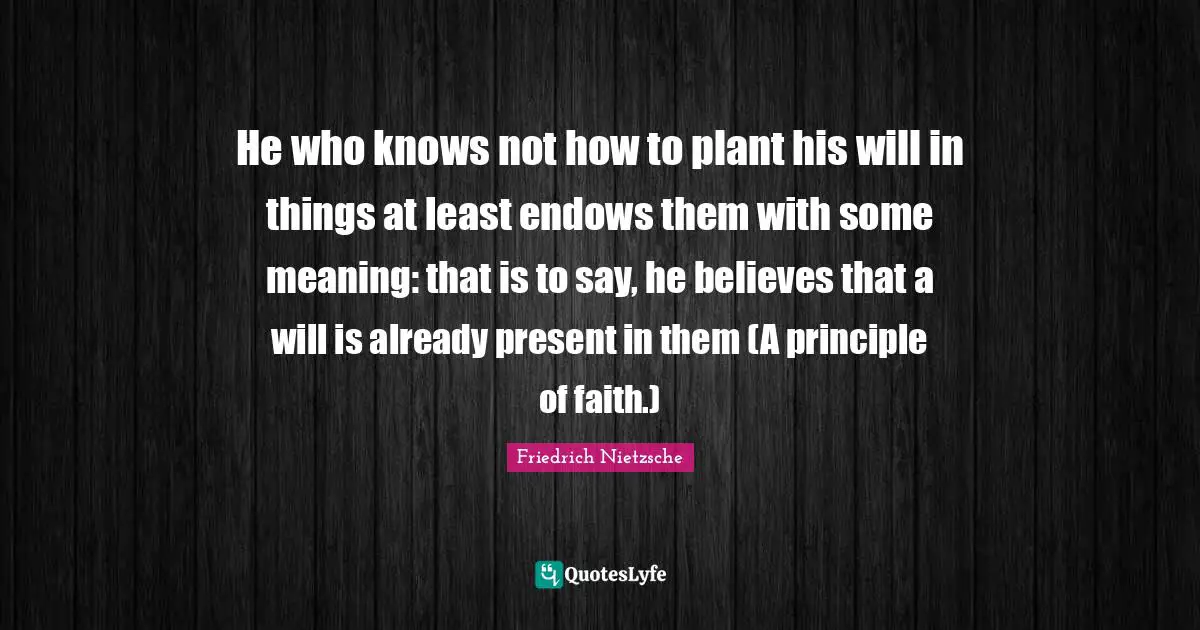 He who knows not how to plant his will in things at least endows them with some meaning: that is to say, he believes that a will is already present in them (A principle of faith.)