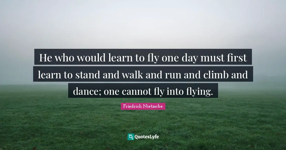 Flying Quotes: "He who would learn to fly one day must first learn to stand and walk and run and climb and dance; one cannot fly into flying."