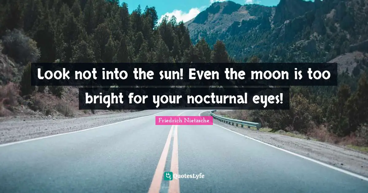 Look not into the sun! Even the moon is too bright for your nocturnal eyes!