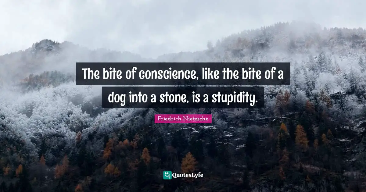 The bite of conscience, like the bite of a dog into a stone, is a stupidity.