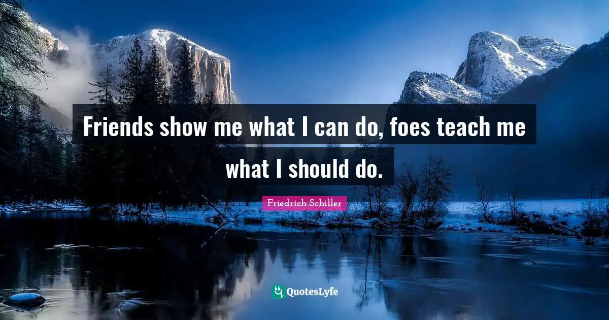 Friedrich Schiller Quotes: "Friends show me what I can do, foes teach me what I should do."