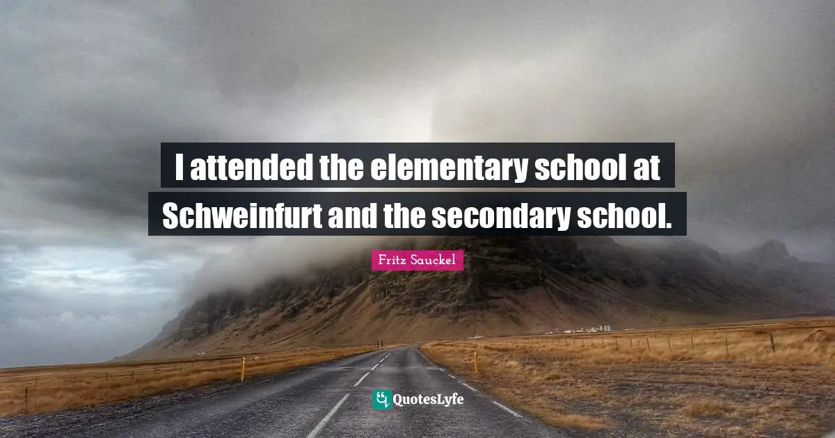 Fritz Sauckel Quotes: "I attended the elementary school at Schweinfurt and the secondary school."