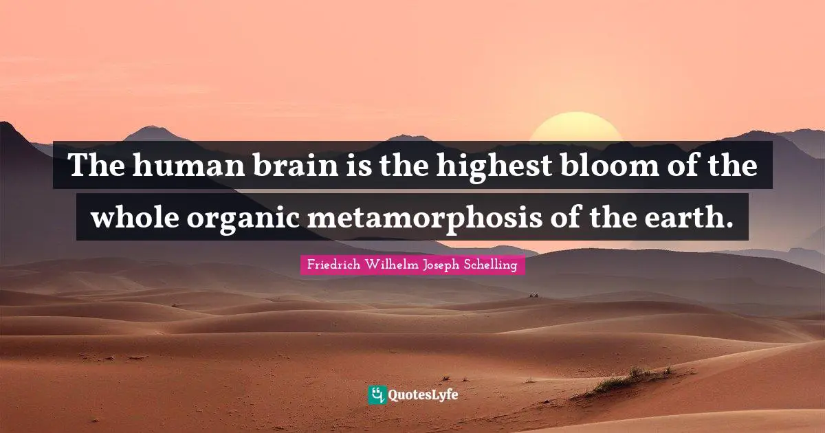 Metamorphosis Quotes: "The human brain is the highest bloom of the whole organic metamorphosis of the earth."