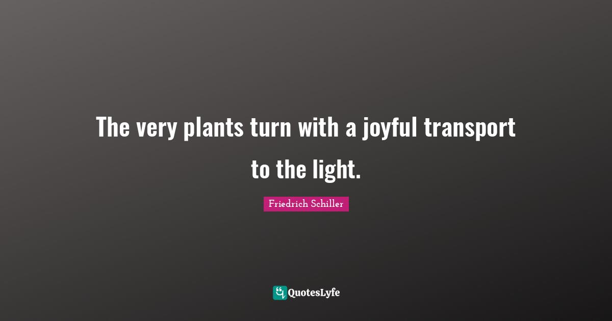 The very plants turn with a joyful transport to the light.