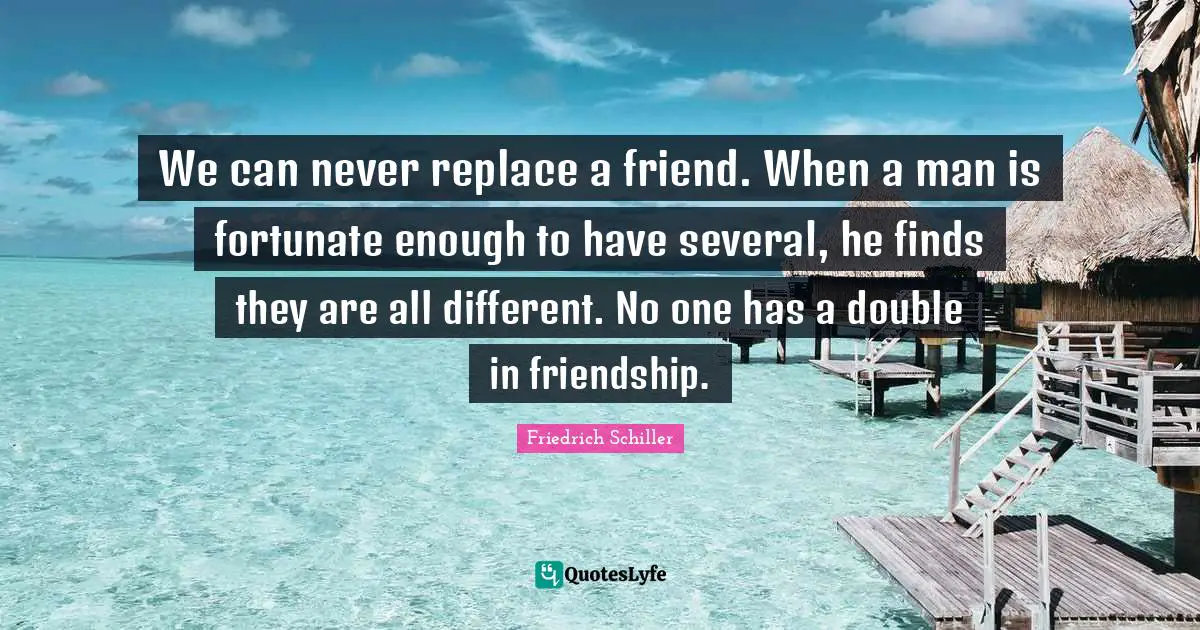 We can never replace a friend. When a man is fortunate enough to have several, he finds they are all different. No one has a double in friendship.