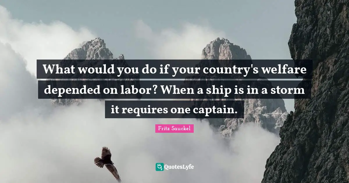 Fritz Sauckel Quotes: "What would you do if your country's welfare depended on labor? When a ship is in a storm it requires one captain."