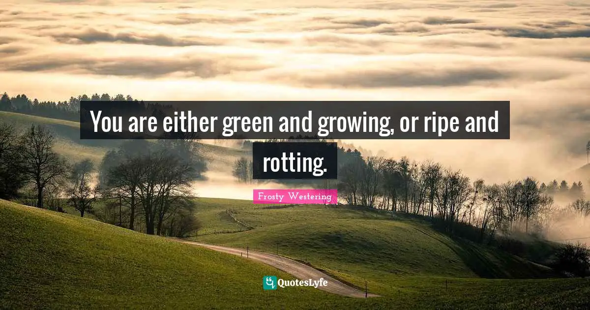 Ripe Quotes: "You are either green and growing, or ripe and rotting."