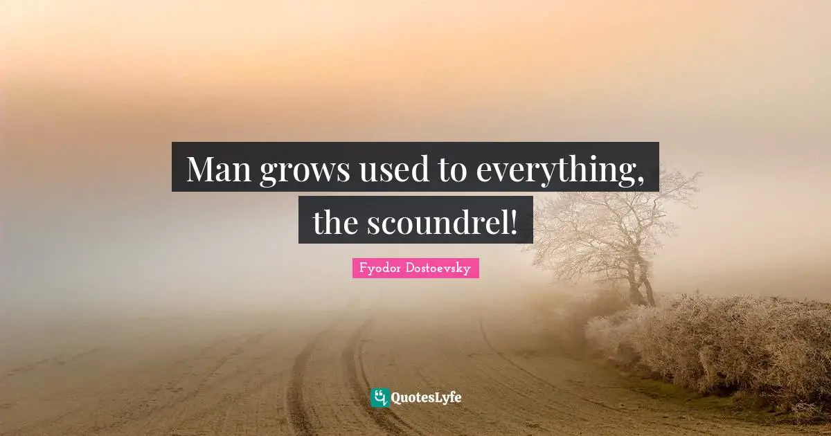 Scoundrels Quotes: "Man grows used to everything, the scoundrel!"