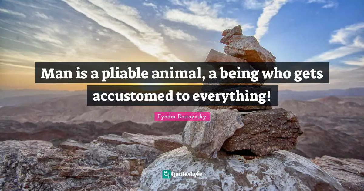 Accustomed Quotes: "Man is a pliable animal, a being who gets accustomed to everything!"