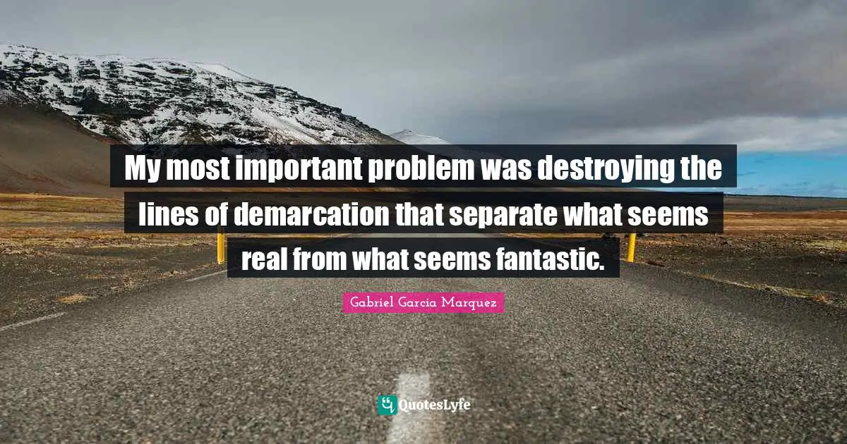 My most important problem was destroying the lines of demarcation that separate what seems real from what seems fantastic.