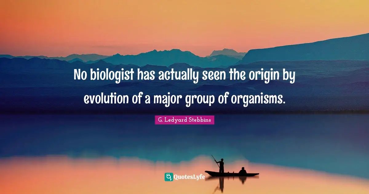 No biologist has actually seen the origin by evolution of a major group of organisms.